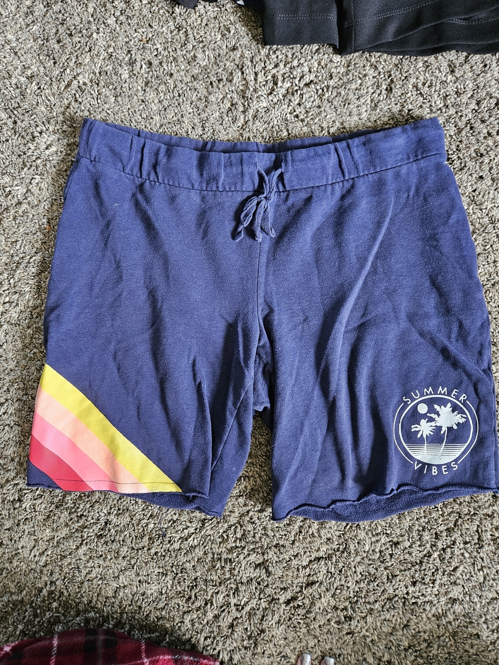 No Boundaries Navy Athletic Shorts with Rainbow Stripe
